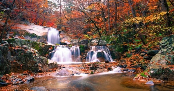 瀑布秋季水池清幽枫叶