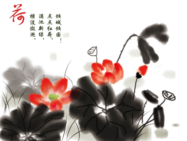水墨荷花圖片