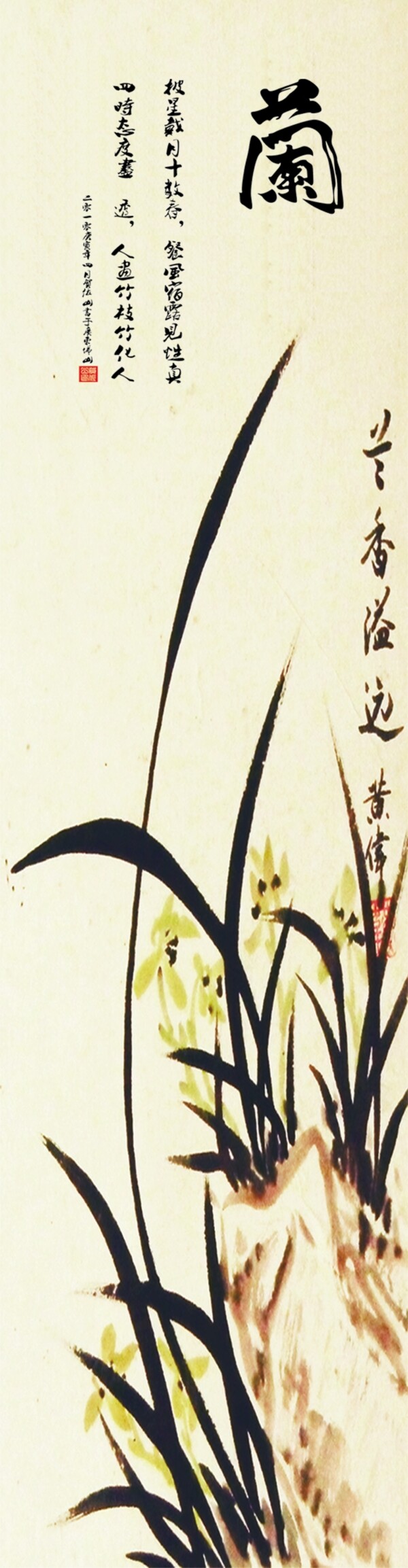 蘭花