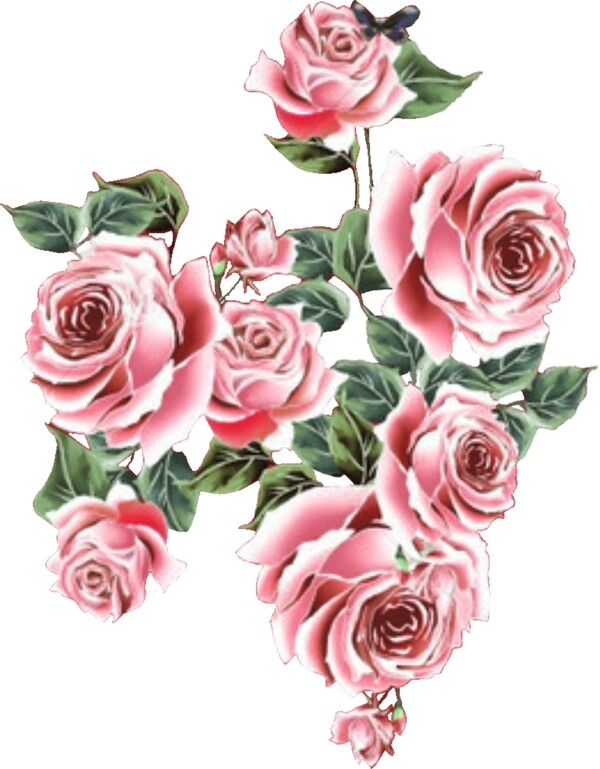 手绘花朵花朵素材玫瑰背景图片
