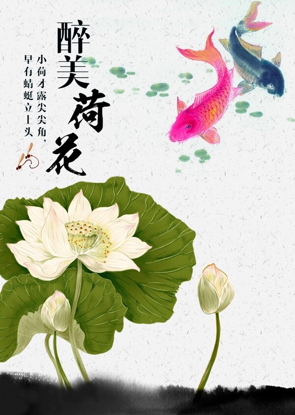 荷花素材psd下載