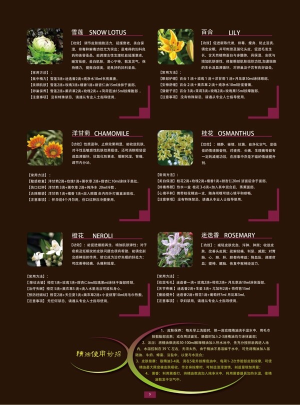 化妝品護膚品畫冊設計圖片