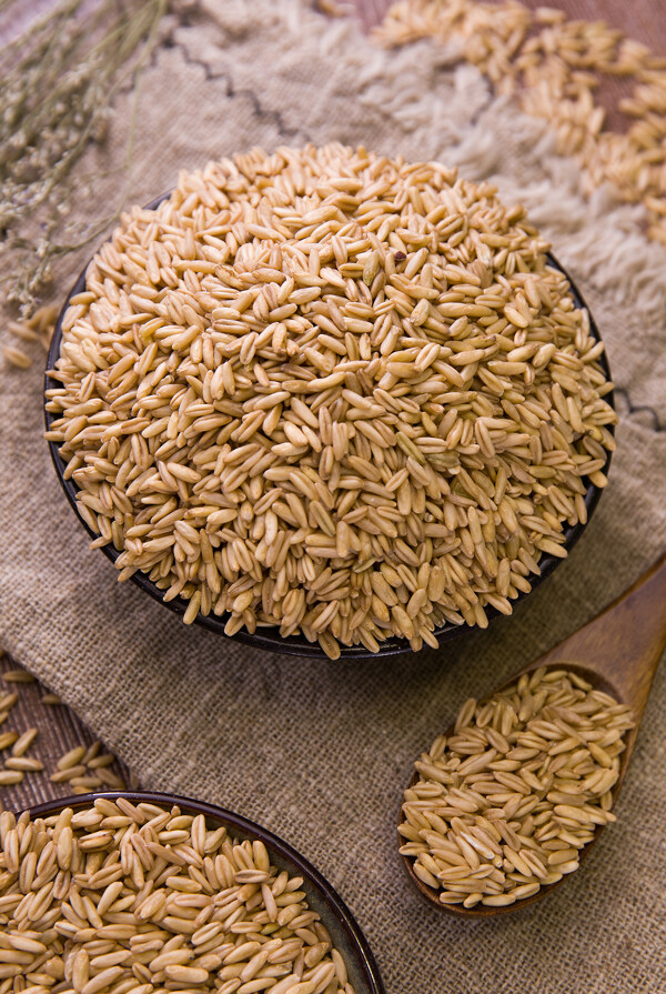 糙米美食食材主食背景海报素材图片