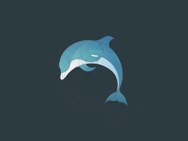 海豚