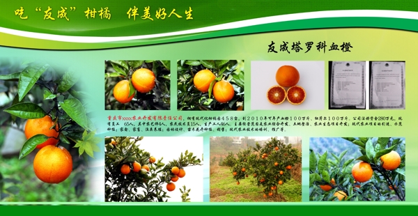 農(nóng)業(yè)展板圖片