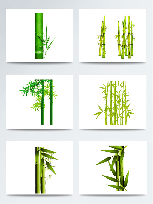 一组中国风绿色竹子素材