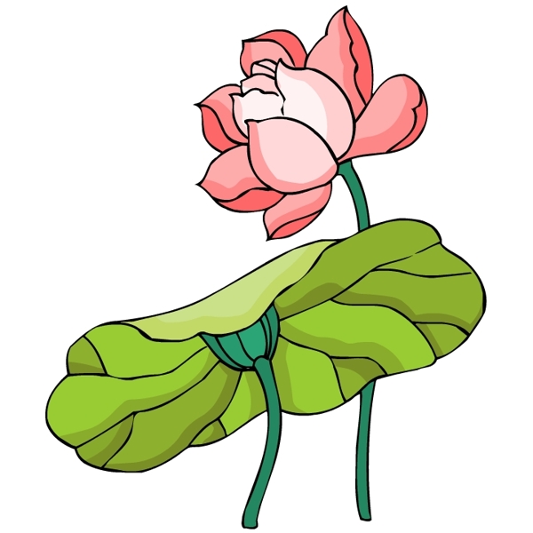 花卉古典插畫