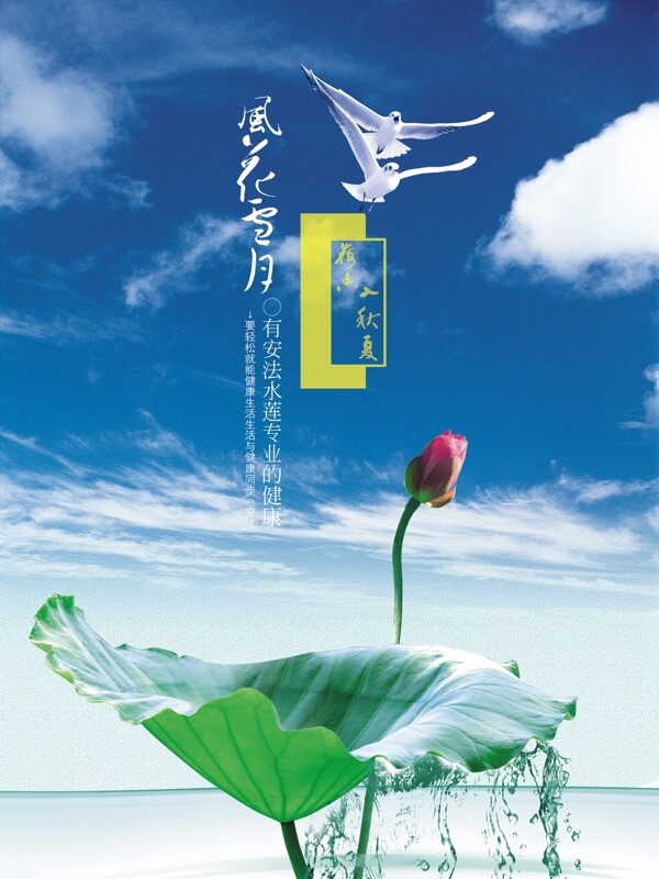 風(fēng)花雪月