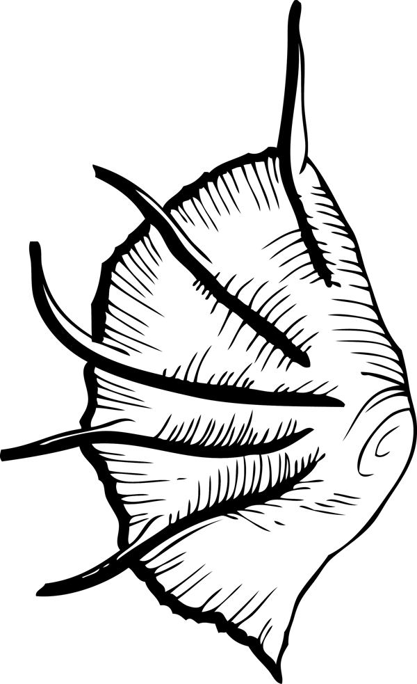 向量的海洋生物