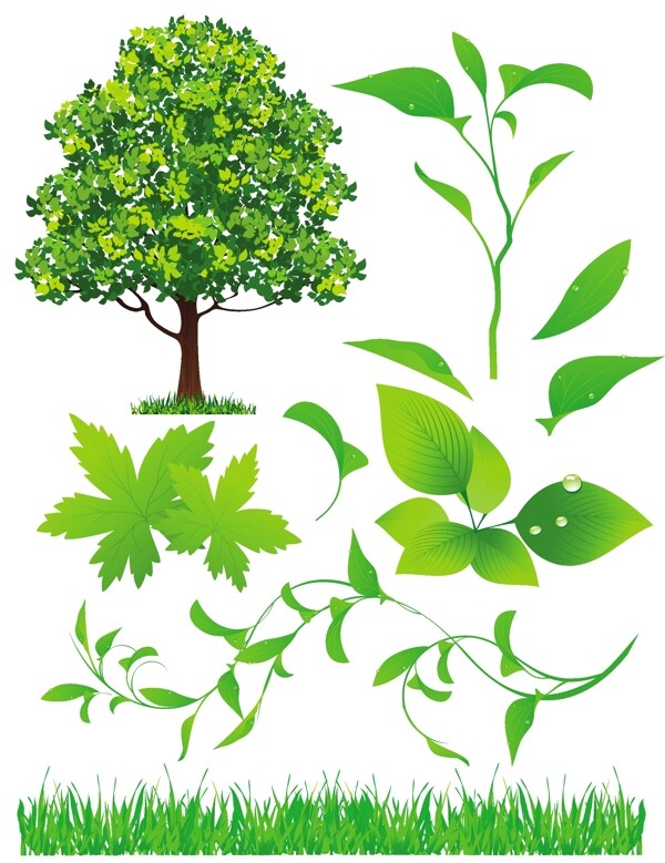 绿色植物系列矢量素材
