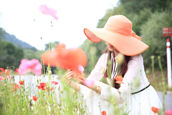 觀賞花朵