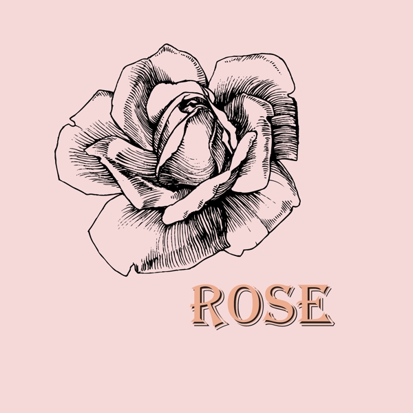 花朵圖片