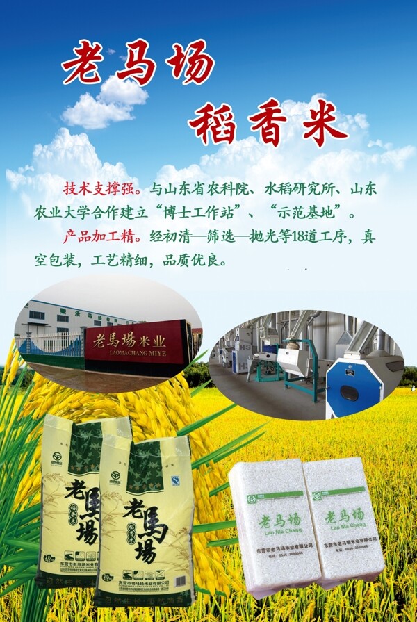 大米海報
