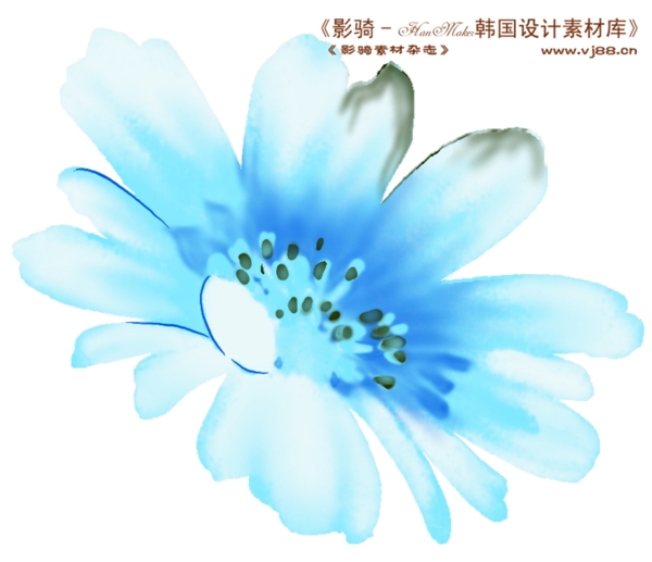 花紋花朵裝飾修飾HanMaker韓國設計素材庫