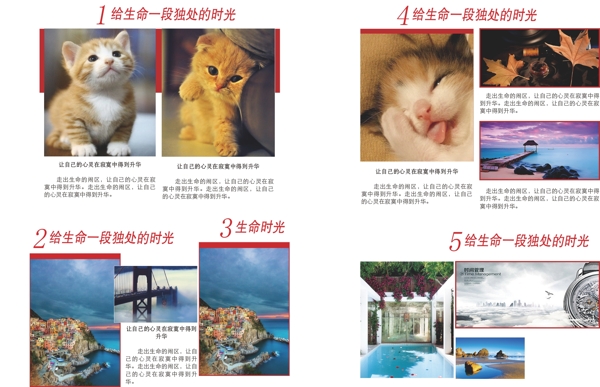 版式設(shè)計