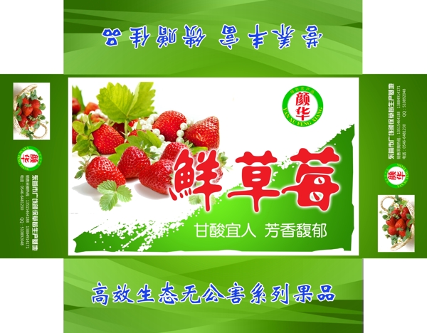 草莓包裝圖片
