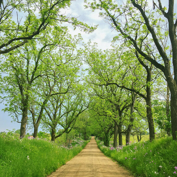 風(fēng)景