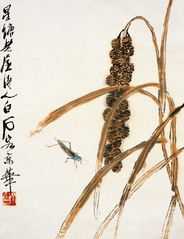 白石國(guó)畫圖片