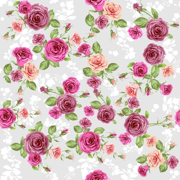 玫瑰花卉背景图片