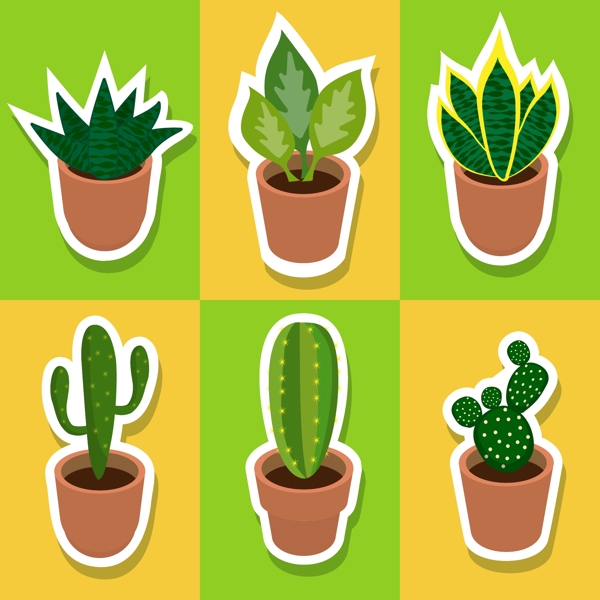 綠色植物