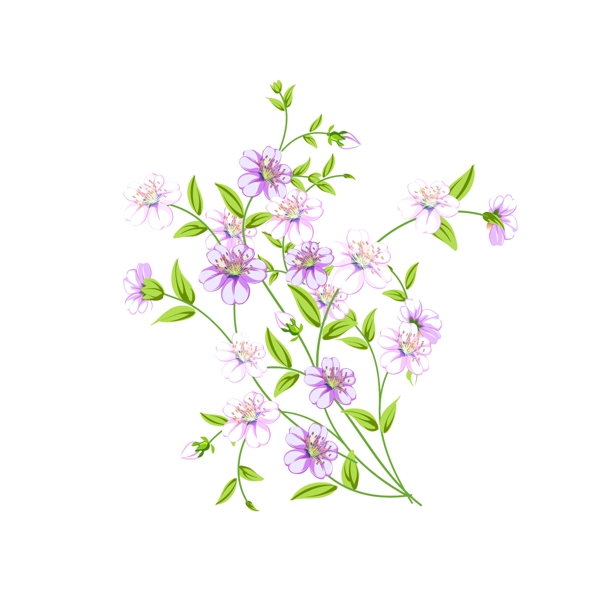 手绘植物紫色兰花可商用