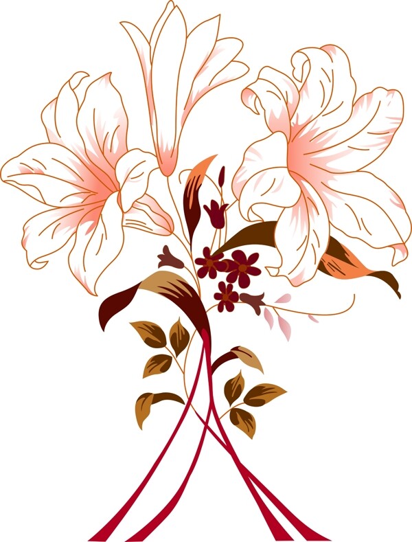 百合花圖片