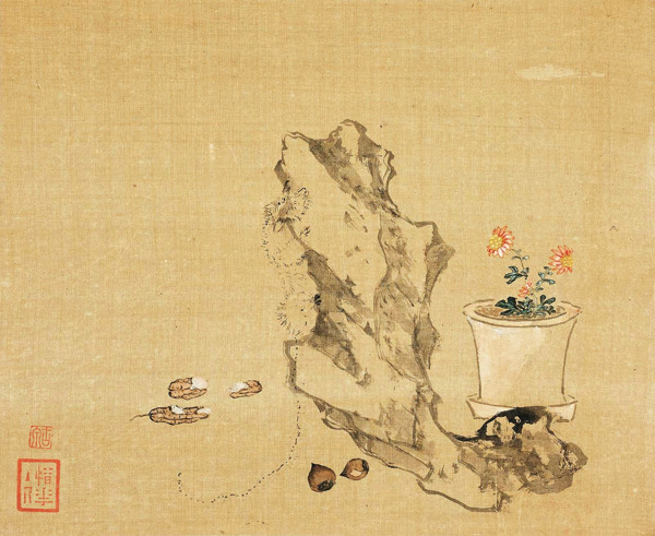 花卉蟲奇石小品圖片