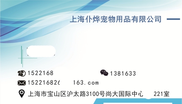 公司藍(lán)色名片