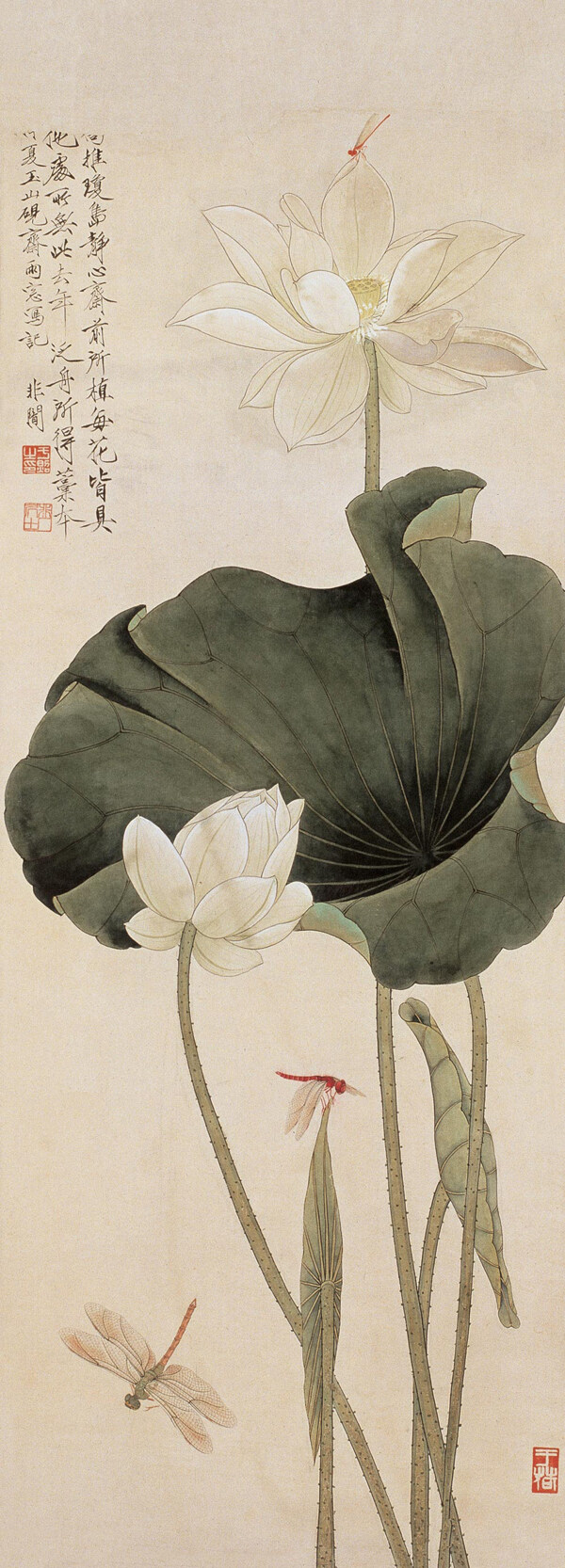 工筆花鳥圖片