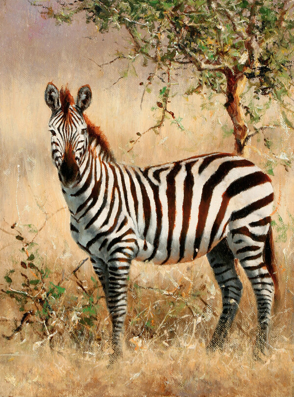 位圖插畫動物插畫時尚插畫藝術(shù)效果免費素材