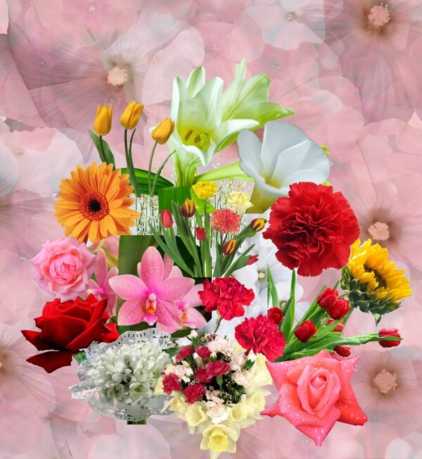 鮮花圖片