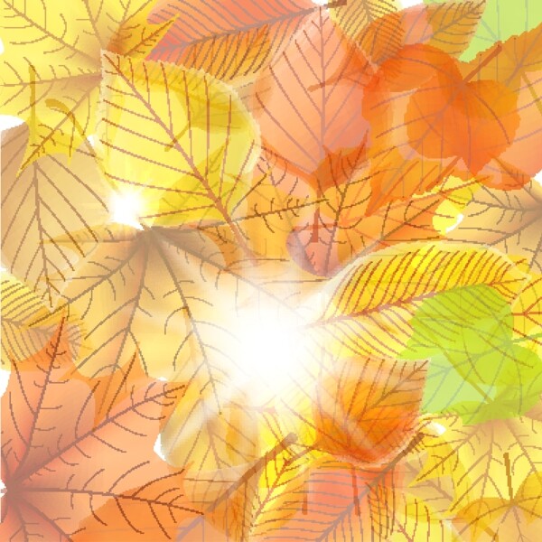 明媚阳光与秋叶背景矢量素材
