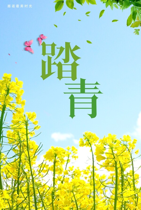 踏青