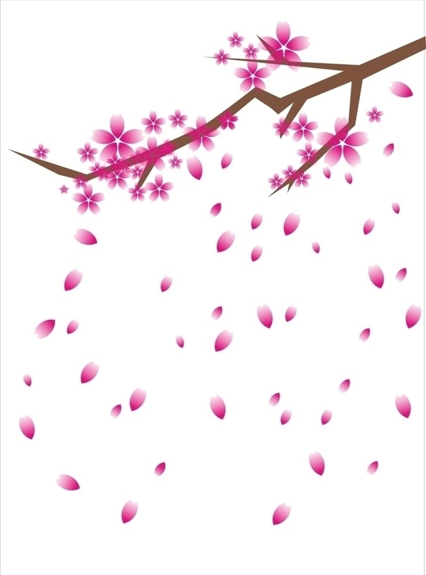 櫻花飛舞圖片