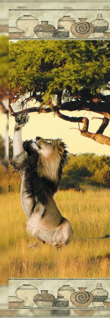 非洲雄狮无框画图片