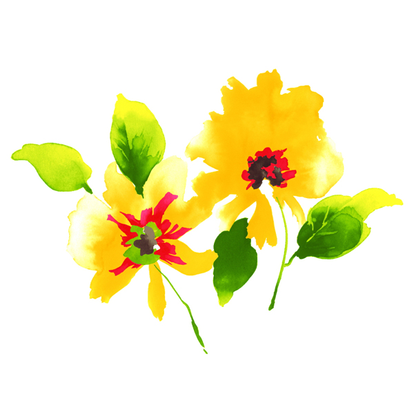 位圖植物寫意花卉花朵野花免費素材