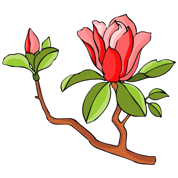 花卉古典插畫