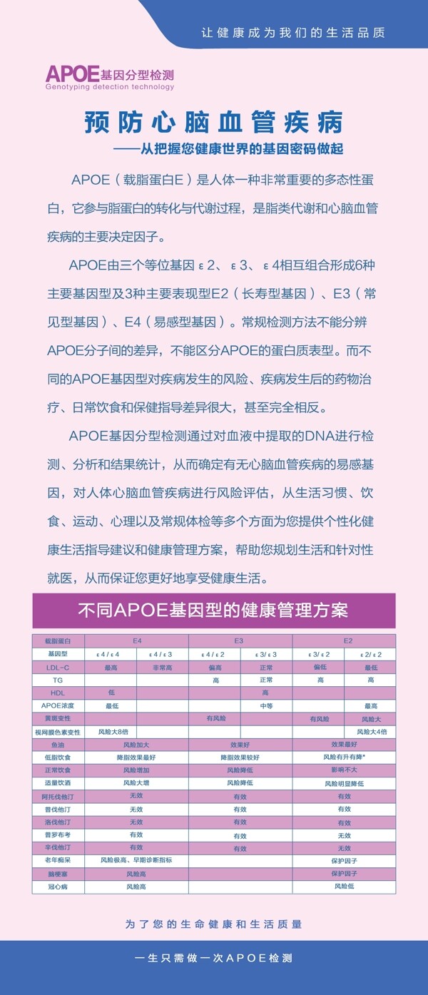 APOE檢測(cè)折頁(yè)