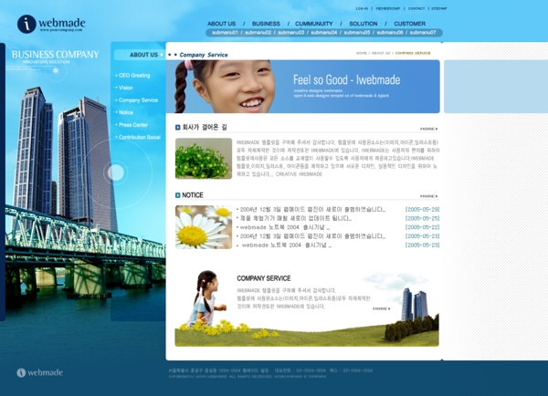 韩国某数码商务网站模板