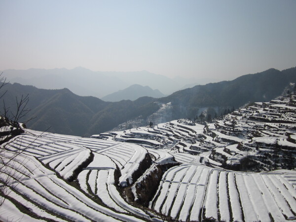 雪后梯田圖片