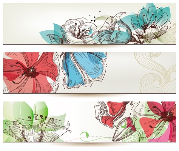 花卉插画横幅