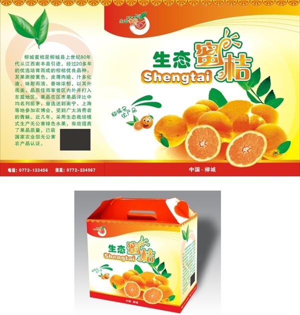 蜜桔包裝盒圖片