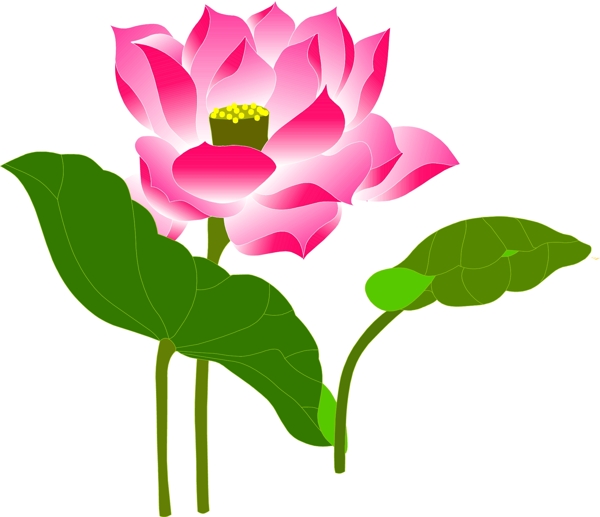 珠寶圖片