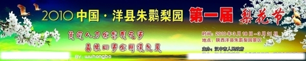 梨花節(jié)圖片