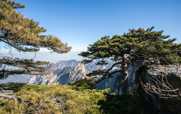 黃山