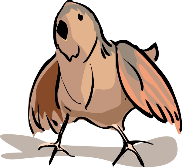 各種鳥(niǎo)類(lèi)鳥(niǎo)動(dòng)物矢量素材EPS格式1437