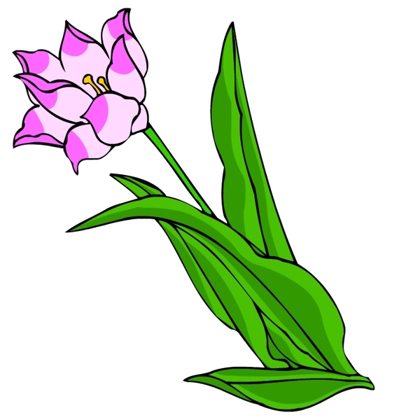 花卉古典插畫