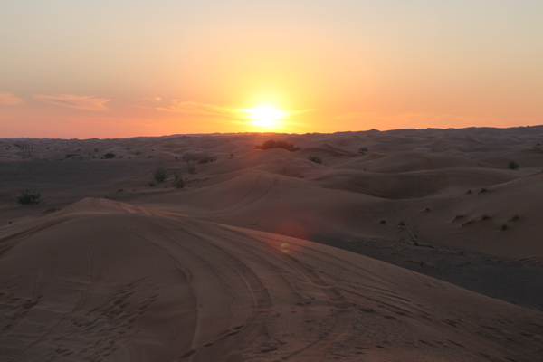 阿联酋大沙漠图片