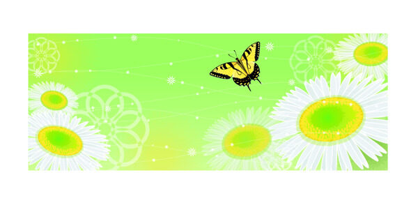 夢幻蝴蝶花