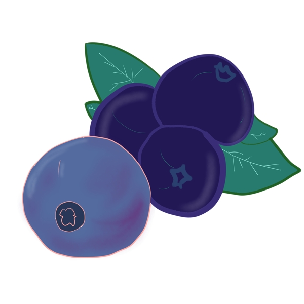 新鲜蓝莓水果插图
